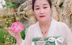 女人与公驹交酡免费网站